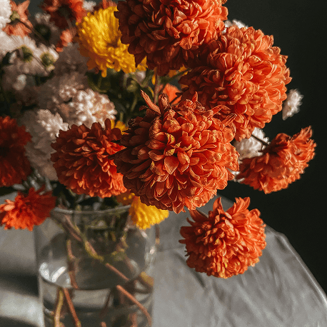 Fresh Florals BG Image